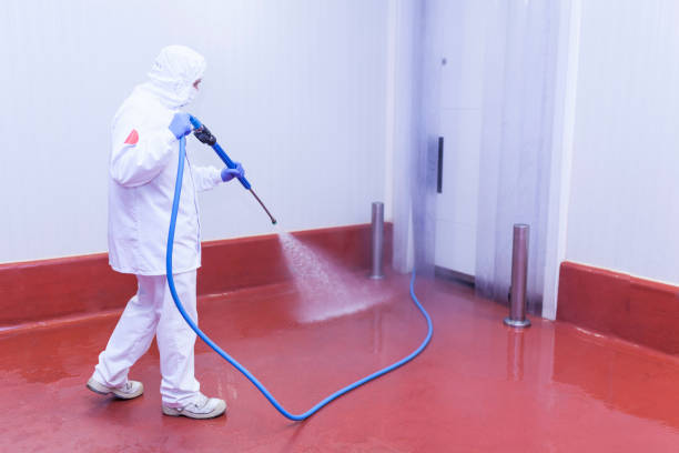 Best Soft Washing  in Berthoud, CO